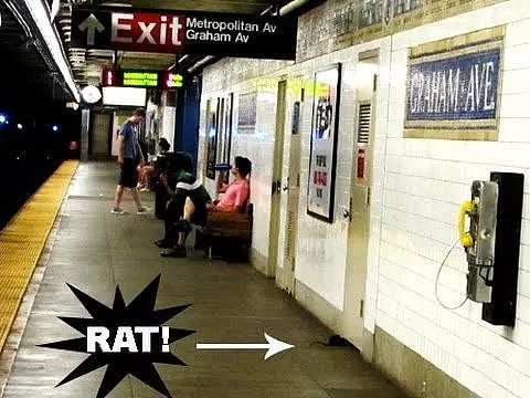 尿骚冲鼻老鼠成灾，一度被称为“世界上最危险的地方”，这就是让人又爱又恨的纽约地铁站 - 10