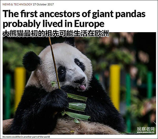 匈牙利发现1000万年前大熊猫化石，起源地之谜再起（组图） - 1
