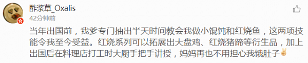 留学生不会做番茄炒蛋 母亲半夜下厨拍视频演示？这条赚了所有人眼泪的广告才是留学生被黑得最惨的一次！ - 14