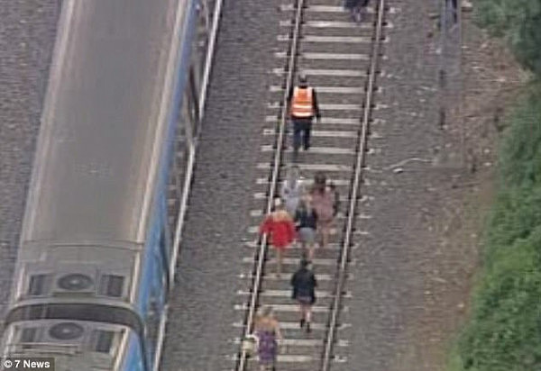 墨尔本杯风波不断：抗议者冲上赛道阻挠比赛 车辆冲上铁轨致使火车紧急停运（视频） - 2