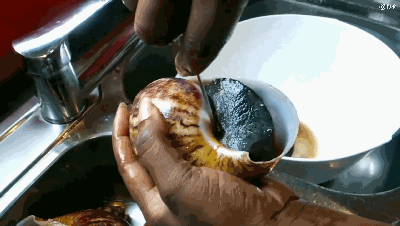 一年吃掉1500万公斤！非洲人把蜗牛吃到灭绝 疯狂起来不输中国人（图） - 1