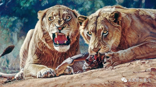 两头结伴吃人的巨型雄狮，在一百年前的狂野非洲，成了一段流传至今的恐怖传说 - 10