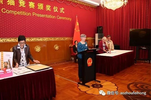 2017年度“熊猫竞赛”颁奖仪式在中国驻澳使馆成功举办 - 4