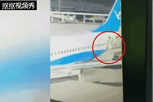 惊险！又有空姐从飞机上掉下来…厦门航空回应了(视频) - 2