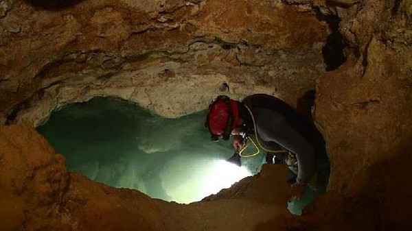 科学家打开封闭500万年洞穴，里面都是长相奇特的生物！(高清组图) - 3