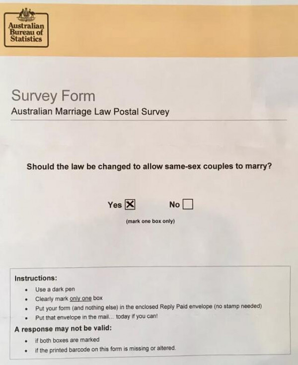 “YES”赢了！澳洲同性婚姻民调结果出炉！61.6％支持！同性群体有望圣诞前合法结婚 - 19