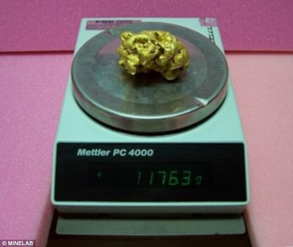 A lucky prospector has unearthed a gigantic gold nugget (pictured) weighing in at 1.1763 kilograms and worth $63,800