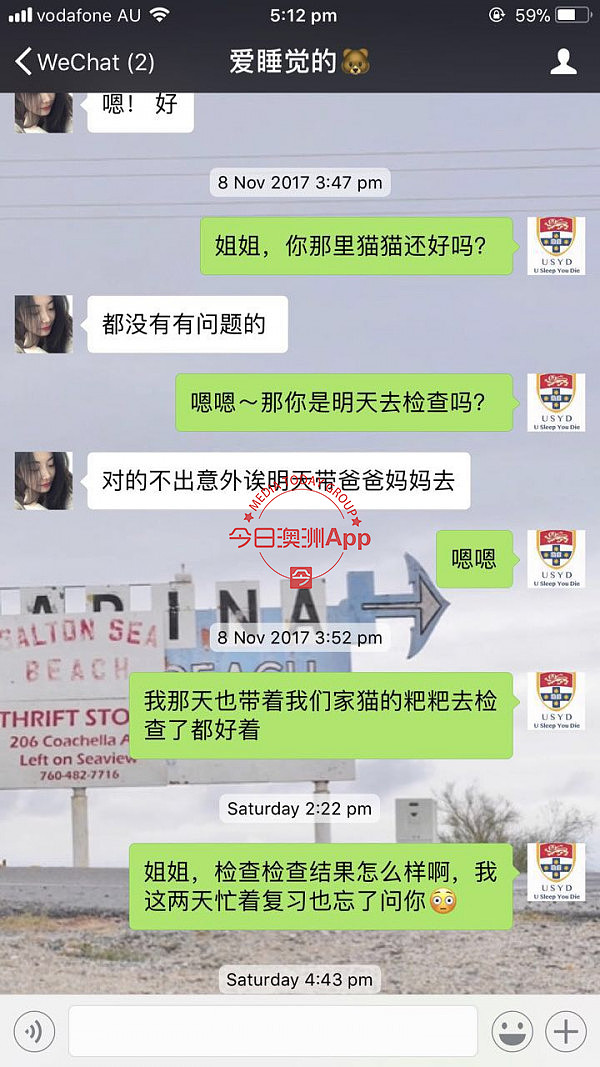 中国留学生微信频频买到病猫，先后忍痛安乐死！卖家是同一人，好心提醒反被怼：“想要钱”！（组图） - 9