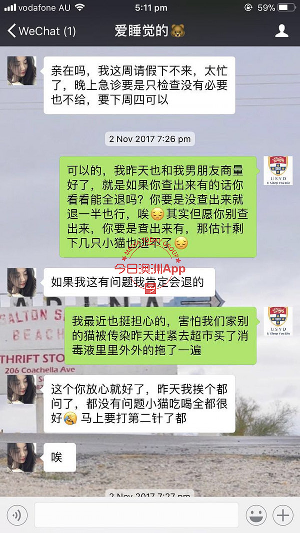 中国留学生微信频频买到病猫，先后忍痛安乐死！卖家是同一人，好心提醒反被怼：“想要钱”！（组图） - 6