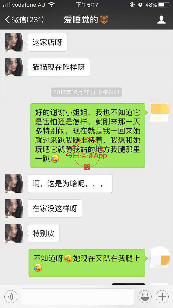 中国留学生微信频频买到病猫，先后忍痛安乐死！卖家是同一人，好心提醒反被怼：“想要钱”！（组图） - 13