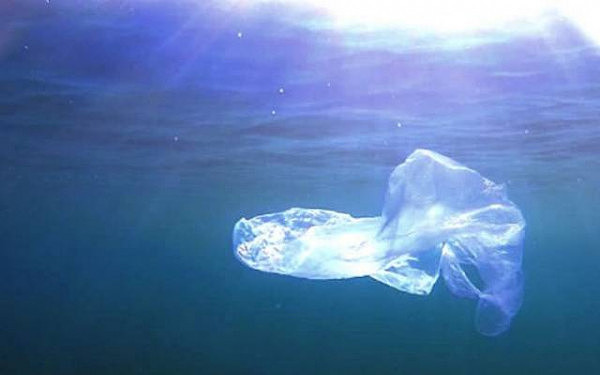 历害了，比尔‧盖兹都为她俩点赞：2名加拿大华人高中女孩，意外发现能＂吃海洋塑料＂的细菌！ - 1