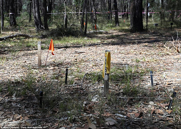 465D05CB00000578-5083773-Flags_pegs_and_tape_within_the_grounds_of_the_Australian_Facilit-a-39_1510893617794.jpg,0