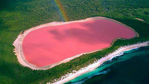 澳洲知名景点粉红湖“消失”啦！游客一脸懵逼 当地居民倍感绝望（组图） - 3