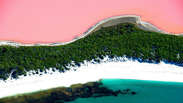 澳洲知名景点粉红湖“消失”啦！游客一脸懵逼 当地居民倍感绝望（组图） - 2
