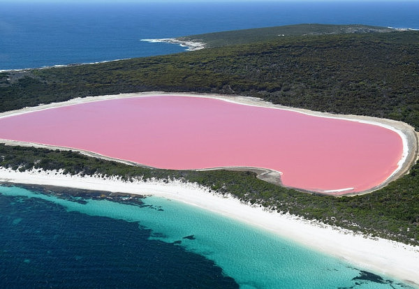 Pink-Lake-Feature.jpg,0