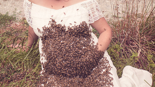一位妈妈与2万只蜜蜂拍了一组独特孕照，结果悲剧了，孩子胎死腹中.... - 2