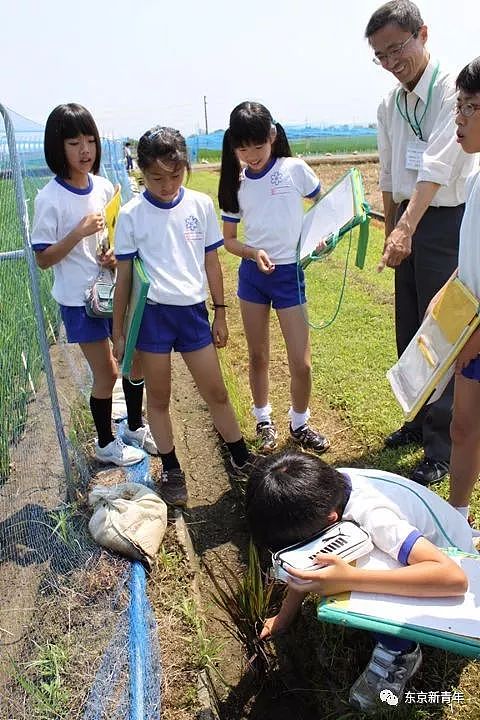 日本老师让小学生们花150天养两头猪，长大后逼他们亲自吃掉！这就是日式教育… - 4