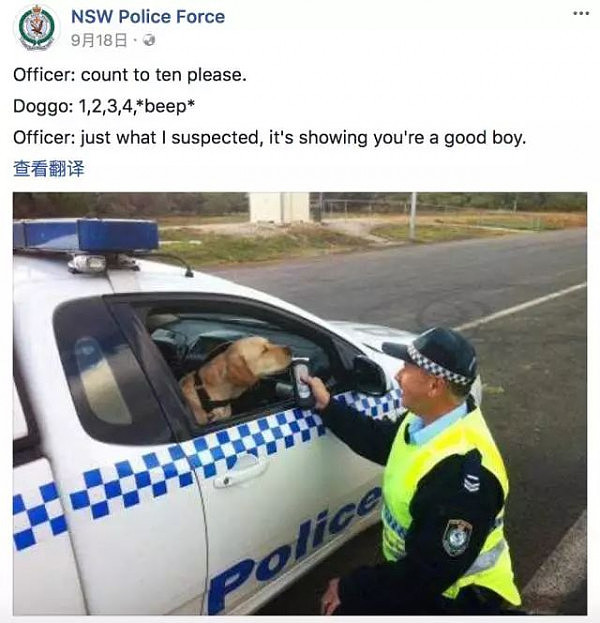 “伦家好怕怕”！澳洲的警察蜀黍有多凶 来亲自感受一下吧！ - 22
