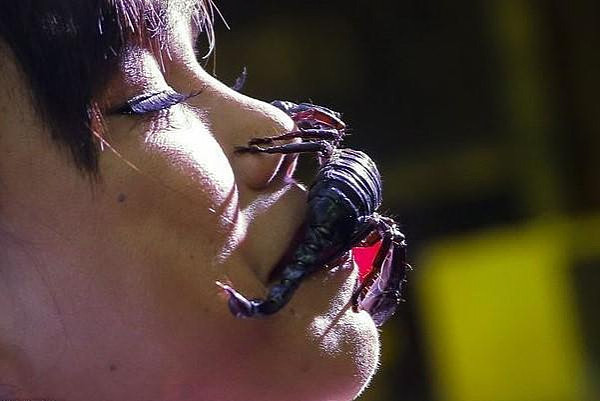 惊悚！泰国蝎子女王的惊悚表演，嘴含活蝎子淡定自若，创世界纪录 - 2
