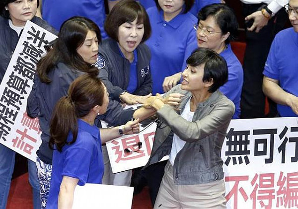 踹门 辱骂 撒泼 打架 台湾这位女政客靠丑态火到了日本 - 1