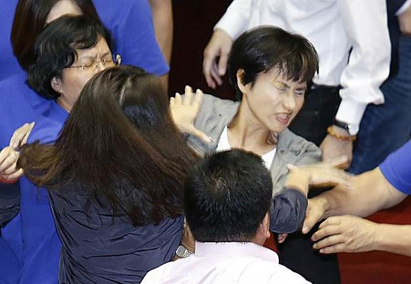 踹门 辱骂 撒泼 打架 台湾这位女政客靠丑态火到了日本 - 8