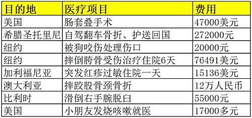 中国游客感慨在国外病不起：澳洲摔了一跤花了12万 被狗咬一口也花数万！ - 2