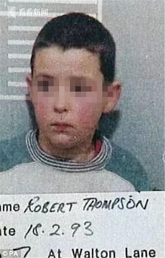 10岁男孩虐杀2岁男童 出狱后持有儿童色情图再入狱