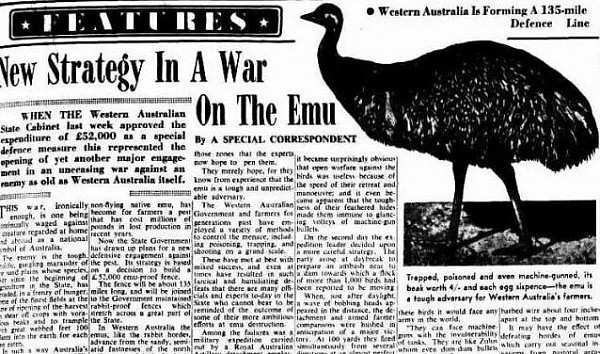 澳洲军队曾和土澳超级大鸟厮杀，然而他们荷枪实弹，死磕了一个月后，恐怖的事情发生了...... - 17