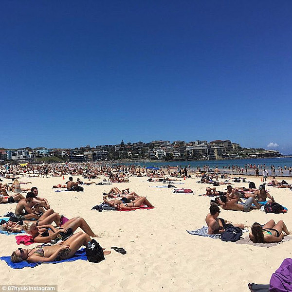 史上最热春末 气温一路飙升！悉尼的小伙伴们快去海滩浪起来... - 8