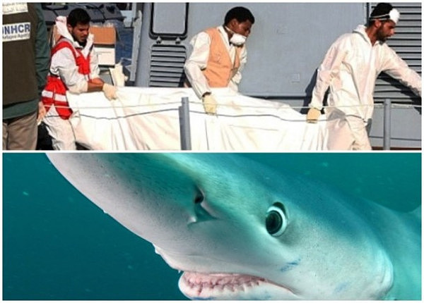 太惨！地中海难民船遭鲨鱼群攻击 夺71命（组图） - 1