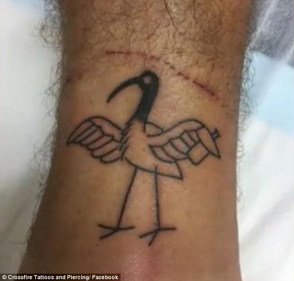 Tattoos of the 'bin chicken' have started adorning the skin of a few Schoolies this year