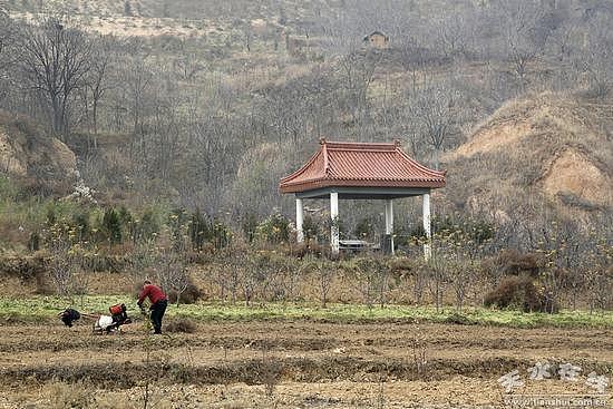 潘石屹老乡就扒坟事件致信:说话可要注意影响呀