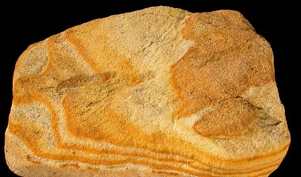 “丽石”的奇迹丨TWT项目现场发掘出大量珍贵黄砂岩 - 7