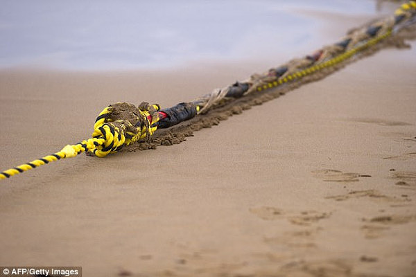 An undersea internet cable linking Australia with Asia has been cut, just six weeks after being repaired (pictured is an undersea cable linking Spain to the US)