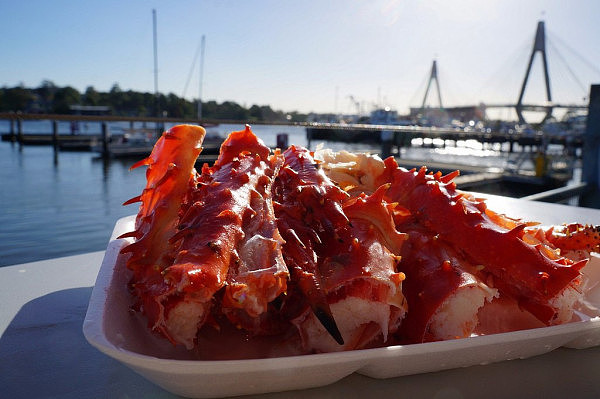 来悉尼一定要尝的澳大利亚三宝 —— 悉尼牡蛎、澳洲龙虾和帝皇蟹！ - 5