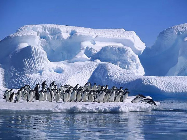 厉害了！澳洲将开通全球唯一飞往南极的航线，2018年春节去南极看企鹅和极光！ - 7