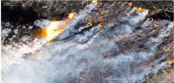 美国恐怖山火犹如末日灾难大片，20万居民被迫撤离！浓烟从太空清晰可见（组图） - 5