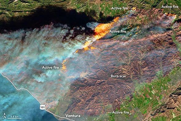 美国恐怖山火犹如末日灾难大片，20万居民被迫撤离！浓烟从太空清晰可见（组图） - 15