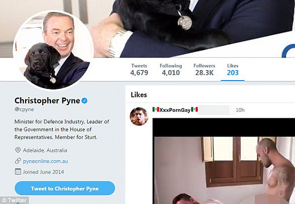 Cabinet minister Christopher Pyne has claimed his Twitter account was 'hacked' after it 'liked' a hardcore gay porn video overnight (pictured) 