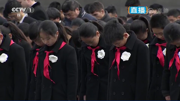 庄严肃穆 南京大屠杀80周年国家公祭仪式现场（组图） - 9