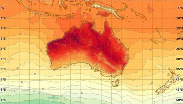 高温警报！悉尼西部气温突破43度大关 当地民众迎来史上最热12月天 - 2