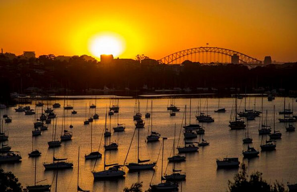 高温警报！悉尼西部气温突破43度大关 当地民众迎来史上最热12月天 - 3