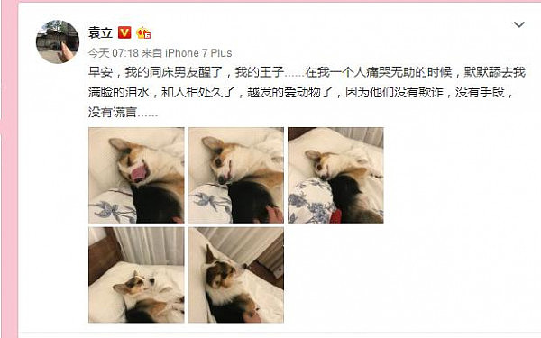 袁立一早晒出“同床男友”照，获权威机构力挺！某卫视败局已定？