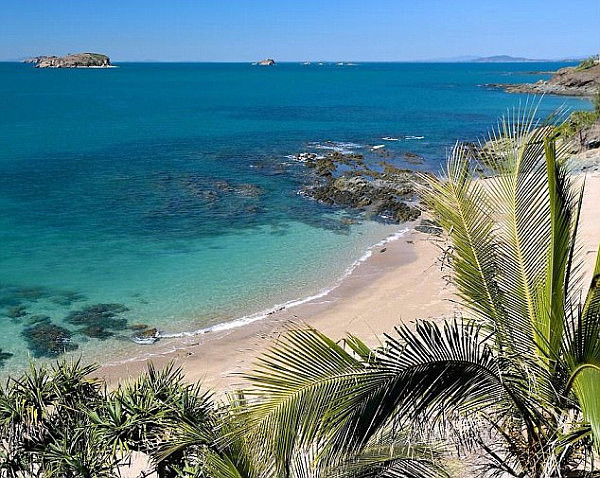 The bizarre animal reportedly has body parts consistent with both a shark and seal, and was found on the shore of Emu Park beach, 21 kilometres south of Yeppoon Thursday