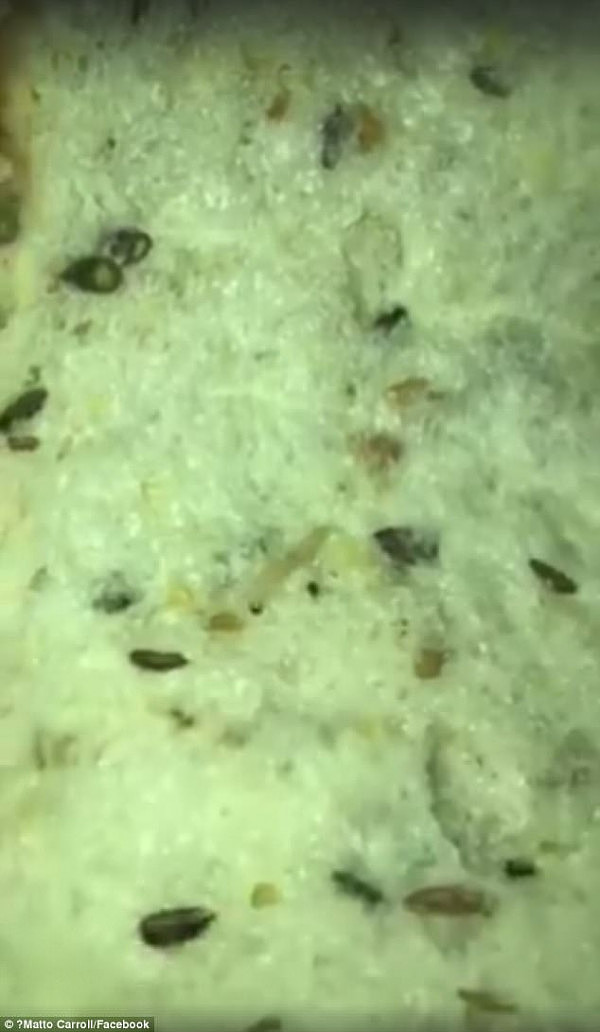 The Victorian man complained to the supermarket giant in an angry Facebook rant on Monday, claiming to have already eaten a larvae-infested slice before making the gross discovery