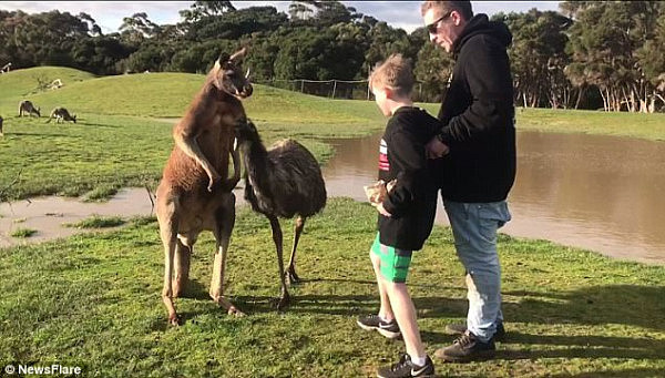 The child's head was thrown violently to the side from the buck's forceful swing, which landed on his right cheek