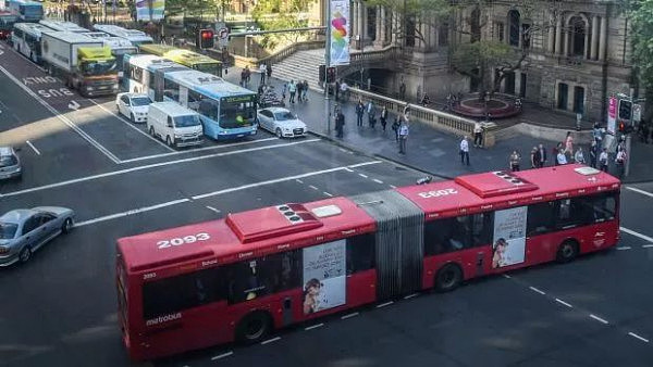别怪我没提醒你，在悉尼坐公交有几个坑是一定要踩的 - 1