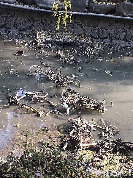 杭州：河水被抽干 河底现大批共享单车（组图） - 4