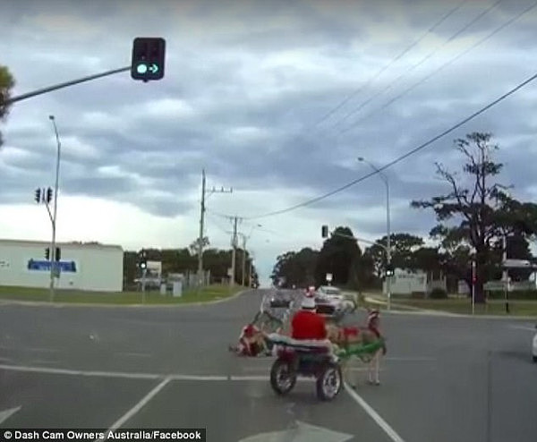 Video footage of a sleigh being pulled by a donkey on a busy road has emerged online