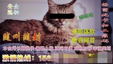 中国地下吸猫场所被曝光，幕后产业链污秽不堪，堪比日本AV，震惊国人(组图) - 7